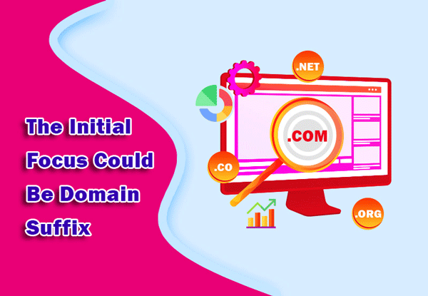 The Initial Focus Could Be Domain Suffix