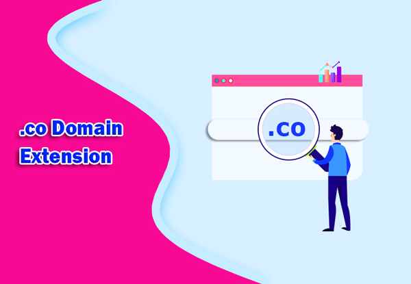 .Co Domain Extension