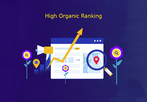 High Organic Ranking