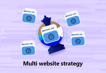 multi website strategy