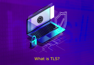 The Best Guide to What Is SSL Certificate vs TLS & SSH?