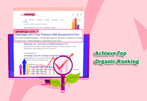 achieve top organic ranking