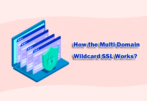 How Do Wildcard SSL Certificates Work?