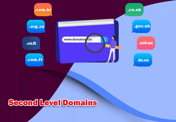 what is second level domains