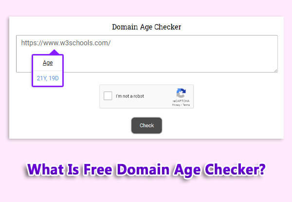 free domain age checker
