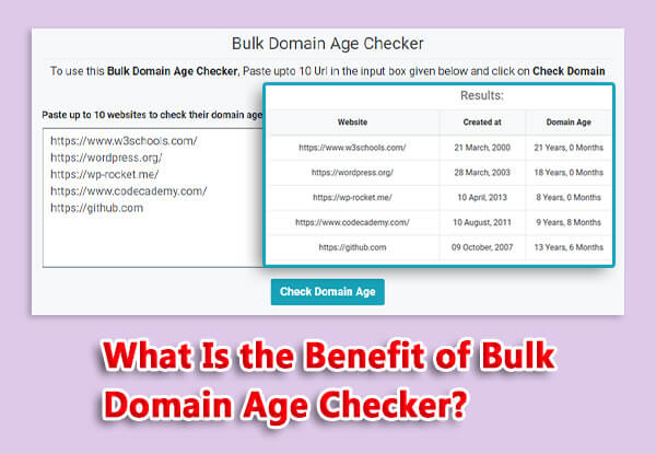 what is the benefit of bulk domain age checker