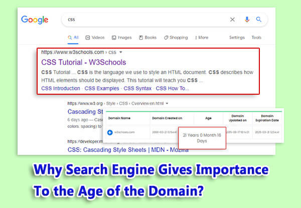 why search engine gives importance to the age of the domain