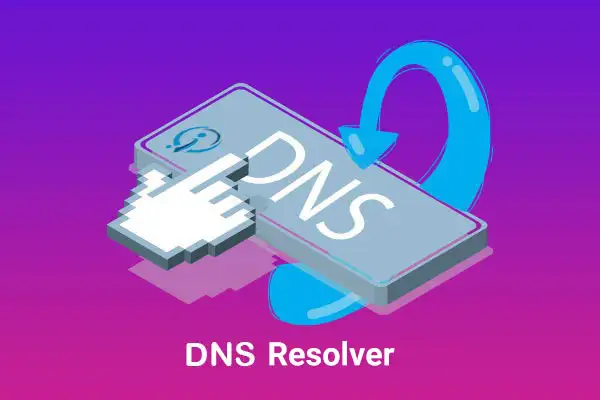DNS resolver
