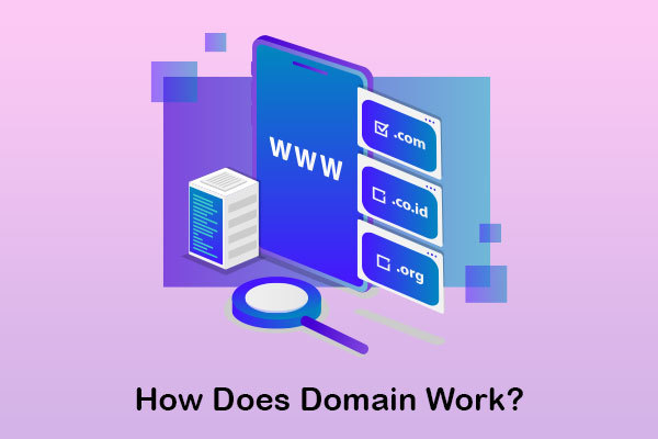 How Does Domain Work?