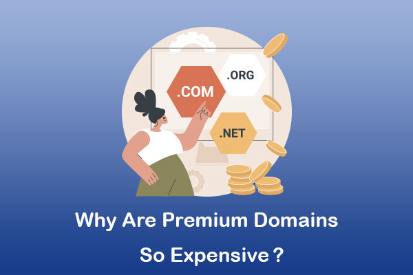 why are premium domains so expensive