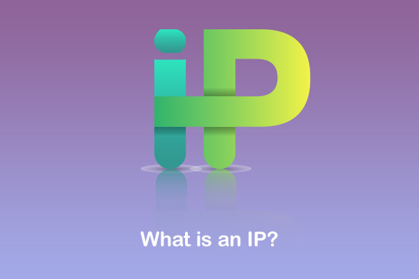 ip definition